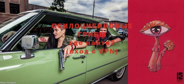 стафф Иннополис