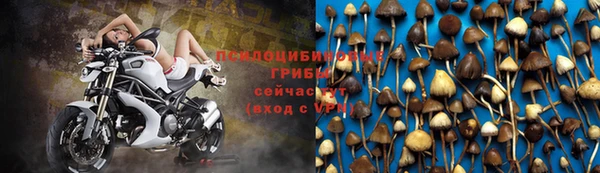 стафф Иннополис