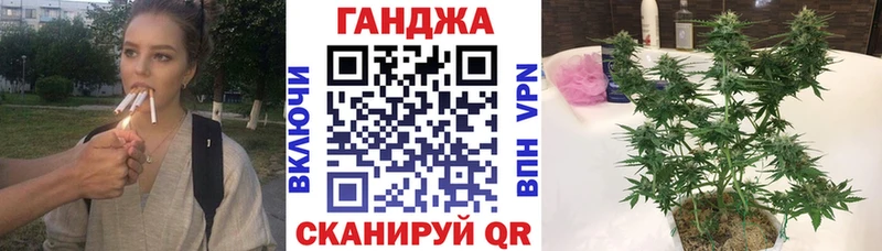 Купить где  Серафимович  Конопля тримм 